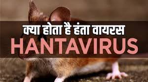 Hantavirus Alert: चूहों से फैलने वाला यह वायरस कितना खतरनाक? जानिए लक्षण और बचाव