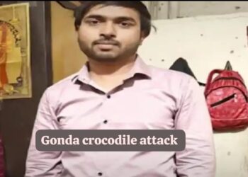 Gonda crocodile attack