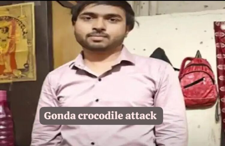Gonda crocodile attack