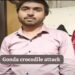 Gonda crocodile attack