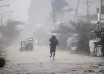 Uttar Pradesh storm destruction