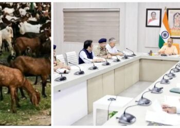 Bakrid Guidelines UP: बकरीद को लेकर सीएम योगी के सख्त निर्देश,  खुले में नमाज और पशु बलि पर रोक, सुरक्षा व्यवस्था बढ़ाई गई