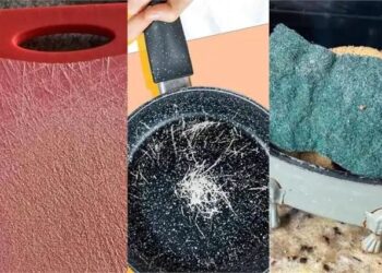 Kitchen Carcinogens Cancer Risk