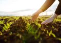 Online Farming Products: अब घर बैठे ऑनलाइन मिलेंगे खाद-बीज, किसानों के लिए राजस्थान सरकार की नई डिजिटल सुविधा