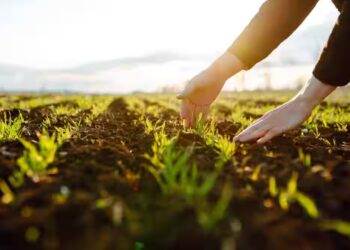 Online Farming Products: अब घर बैठे ऑनलाइन मिलेंगे खाद-बीज, किसानों के लिए राजस्थान सरकार की नई डिजिटल सुविधा