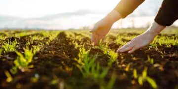 Online Farming Products: अब घर बैठे ऑनलाइन मिलेंगे खाद-बीज, किसानों के लिए राजस्थान सरकार की नई डिजिटल सुविधा