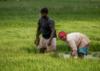पीएम किसान सम्मान निधि की 23वीं किस्त आज जारी, जानिये यूपी के कितने किसानों को मिलेगा लाभ