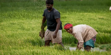 पीएम किसान सम्मान निधि की 23वीं किस्त आज जारी, जानिये यूपी के कितने किसानों को मिलेगा लाभ
