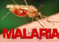 Malaria Free Mission: मलेरिया मुक्त उत्तर प्रदेश का मिशन शुरू, “Track -Test -Treat” बनेगा सफलता का मंत्र