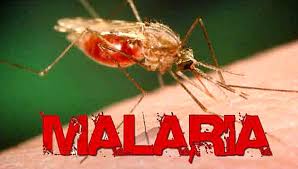 Malaria Free Mission: मलेरिया मुक्त उत्तर प्रदेश का मिशन शुरू, “Track -Test -Treat” बनेगा सफलता का मंत्र
