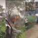 Patna Vehicle Fire:तीन खड़ी गाड़ियों में लगी रहस्यमई आग, ग्रामीणों की कोशिशों के बावजूद नहीं बच सके वाहन