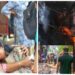 : Delhi Fire Accident, Malviya Nagar Fire,