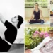 International Yoga Day 2026: अक्षय कुमार से शिल्पा शेट्टी तक, योग दिवस पर फिटनेस का संदेश देते नजर आए बॉलीवुड सितारे