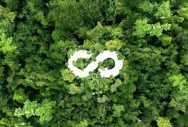 World Environment Day पर होगा विशेष कार्यक्रम,लखनऊ में लॉन्च होगा बायोयुग ग्रीन कमांड-2026