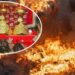 Forest Fire: कटरा के जंगलों में भीषण आग, माता वैष्णो देवी यात्रा पर मंडराया खतरा, देवामाई मंदिर को लेकर बढ़ी चिंता