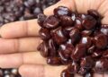 Benefits of Tamarind Seeds: कौन से बीज बेकार समझकर अब मत फेंकना, पोषक तत्वों से भरपूर, पाचन, इम्यूनिटी बढ़ाने में मददगार