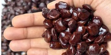 Benefits of Tamarind Seeds: कौन से बीज बेकार समझकर अब मत फेंकना, पोषक तत्वों से भरपूर, पाचन, इम्यूनिटी बढ़ाने में मददगार