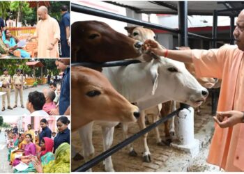 Janata Darshan Gorakhpur में सीएम योगी का सख्त संदेश, जमीन विवादों पर हो कार्रवाई, गरीबों को मिले इलाज की गारंटी
