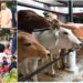 Janata Darshan Gorakhpur में सीएम योगी का सख्त संदेश, जमीन विवादों पर हो कार्रवाई, गरीबों को मिले इलाज की गारंटी