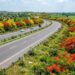 Ganga Expressway Plantation: प्रयागराज से मेरठ तक सफर होगा और खूबसूरत, लगाए जाएंगे हजारों छायादार, फलदार और फूलों वाले पौधे