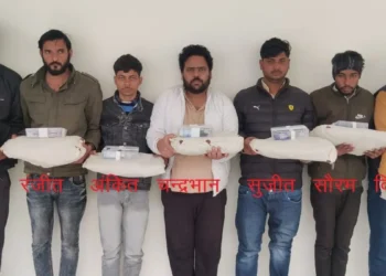 आयुष्मान कार्ड घोटाले में बड़ा खुलासा, फर्जी कार्ड बनवाने के लिए वसूले जाते थे 800 रुपये