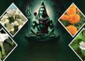 सावन में घर लाएं खुशहाली! भगवान शिव की कृपा पाने के लिए लगाएं ये 5 शुभ पौधे