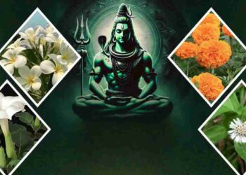 सावन में घर लाएं खुशहाली! भगवान शिव की कृपा पाने के लिए लगाएं ये 5 शुभ पौधे