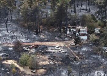 Greece Wildfire Family Tragedy