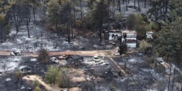 Greece Wildfire Family Tragedy
