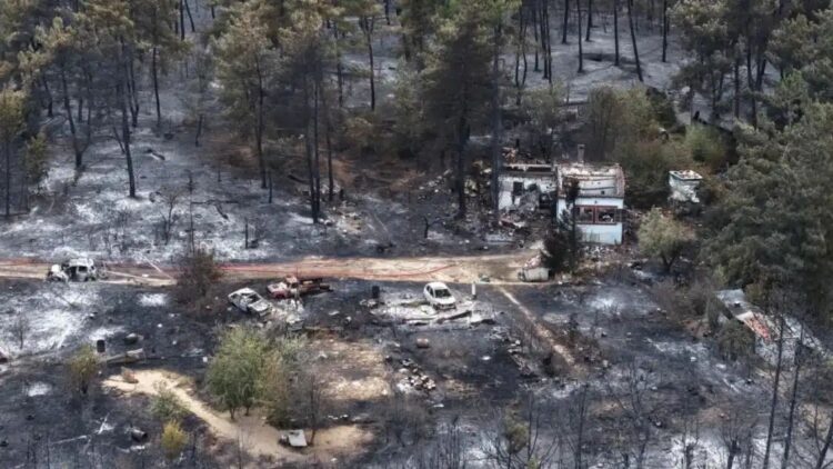 Greece Wildfire Family Tragedy
