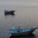 Ship Attack: होर्मुज स्ट्रेट में ओमान तट के पास कमर्शियल जहाज पर हुआ हमला, 10 भारतीय सुरक्षित, एक अब भी लापता