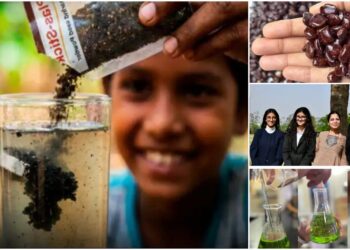 The Earth Prize 2026: किसके बीज से किया कमाल, भारतीय किशोरों ने माइक्रोप्लास्टिक हटाने का अनोखा तरीका खोज, रचा इतिहास
