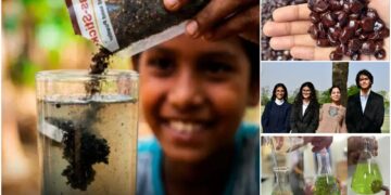 The Earth Prize 2026: किसके बीज से किया कमाल, भारतीय किशोरों ने माइक्रोप्लास्टिक हटाने का अनोखा तरीका खोज, रचा इतिहास