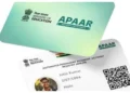 Bihar APAAR Card: मैट्रिक-इंटर परीक्षा के लिए अब अनिवार्य होगा ये कार्ड,31 जुलाई तक चलेगा विशेष अभियान