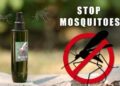 Mosquito Prevention: क्या ये आसान सा तरीका अपना कर भगा सकते मच्छरों को, जानिए कितना असरदार है यह घरेलू उपाय