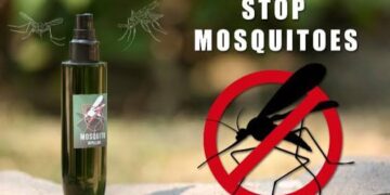 Mosquito Prevention: क्या ये आसान सा तरीका अपना कर भगा सकते मच्छरों को, जानिए कितना असरदार है यह घरेलू उपाय
