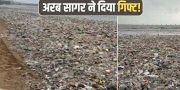 Mumbai Beach Garbage: अरब सागर ने मुंबई को दिया रिटर्न गिफ्ट, लौटाया 2,500 टन कचरा, चौपाटियों पर फैली गंदगी