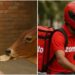Zomato Viral Story : महिला ने किया तीन रोटियों का अनोखा ऑर्डर, डिलीवरी बॉय ने बताया कारण तो लोग हुए भावुक