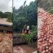 Raigad Floods: भारी बारिश के बाद एचपीसीएल प्लांट में घुसा बाढ़ का पानी, नदी में बह गए 3000 गैस सिलेंडर