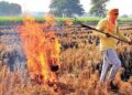 Stubble Burning: धान कटाई के मौसम में पराली जलाने वालों पर सख्ती, ड्रोन की लाइव फीड से होगी रियल-टाइम निगरानी और कार्रवाई