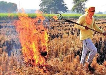 Stubble Burning: धान कटाई के मौसम में पराली जलाने वालों पर सख्ती, ड्रोन की लाइव फीड से होगी रियल-टाइम निगरानी और कार्रवाई