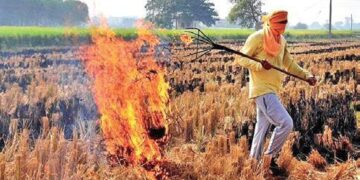 Stubble Burning: धान कटाई के मौसम में पराली जलाने वालों पर सख्ती, ड्रोन की लाइव फीड से होगी रियल-टाइम निगरानी और कार्रवाई