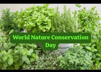Medicinal Plants for Home