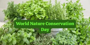 Medicinal Plants for Home
