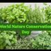 Medicinal Plants for Home