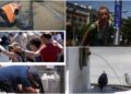 Europe Heatwave Crisis: यूरोप में भीषण गर्मी का कहर, रेल सेवा प्रभावित, सड़कें पिघली , परमाणु रिएक्टरों पर भी पड़ा असर