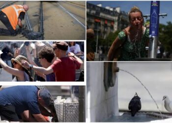 Europe Heatwave Crisis: यूरोप में भीषण गर्मी का कहर, रेल सेवा प्रभावित, सड़कें पिघली , परमाणु रिएक्टरों पर भी पड़ा असर