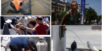 Europe Heatwave Crisis: यूरोप में भीषण गर्मी का कहर, रेल सेवा प्रभावित, सड़कें पिघली , परमाणु रिएक्टरों पर भी पड़ा असर