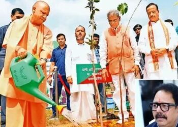 Environment Protection Campaign: ऋषि परंपरा से सीख, आधुनिक प्रयासों के साथ, पर्यावरण बचाने को UP ने बनाया नया रिकॉर्ड