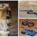 Snake Bite News
